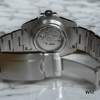 WATCH MOD MARINER | KERMIT